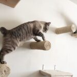 Percorsi sospesi in legno: quali sono i vantaggi per i gatti?